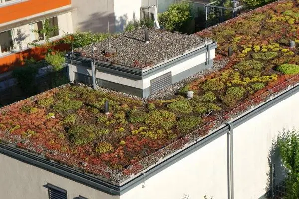 Begrünung eines Flachdaches in Linz